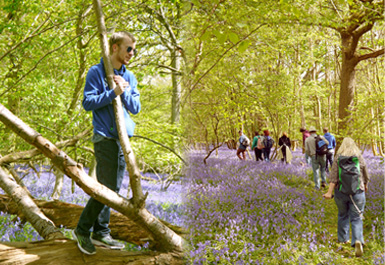 The 'Rally' Project for young people